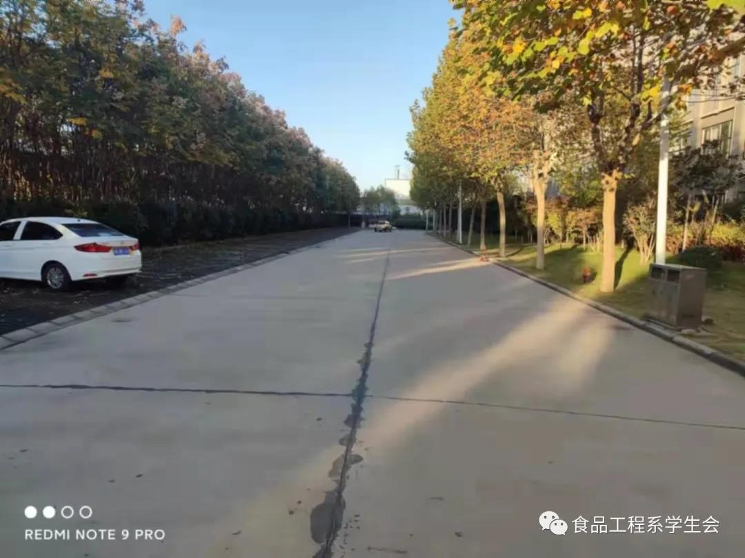 美化校園 你我同行 (圖3)