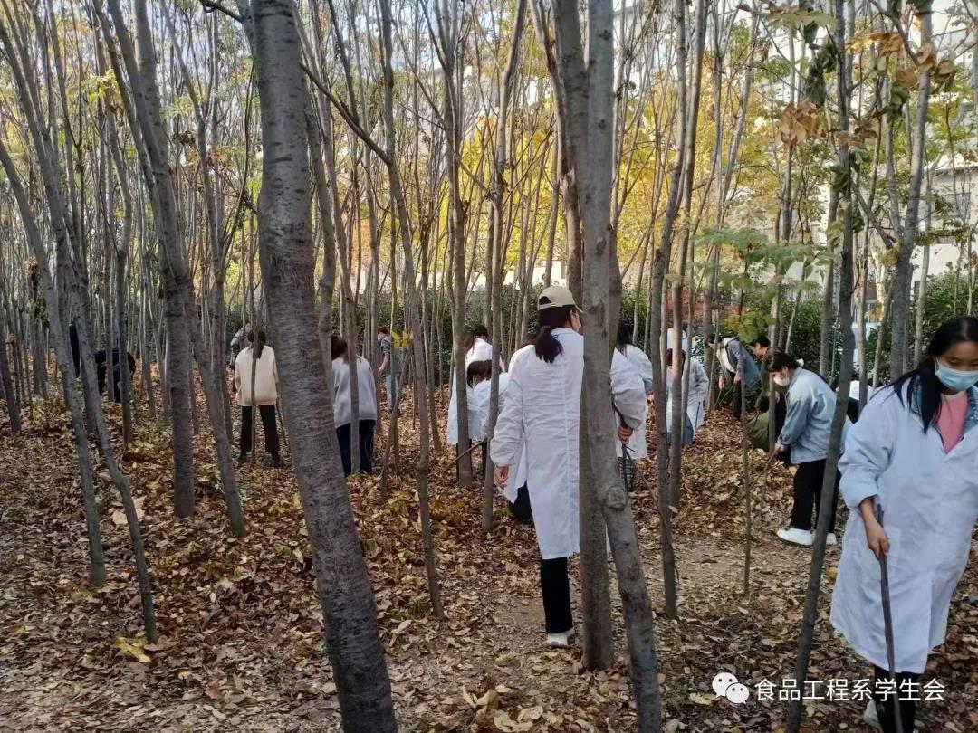 清掃學院垃圾，營造美好校園(圖2)