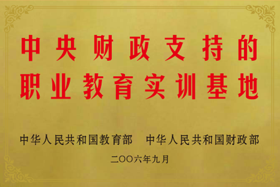 03中央財(cái)政支持的職業(yè)教育實(shí)訓(xùn)基地.png