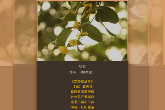學(xué)習(xí)二十大22-11-18-1.jpg