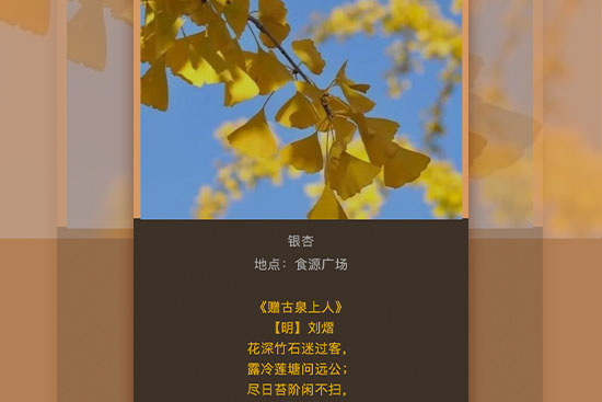 學(xué)習(xí)二十大22-11-18-2.jpg