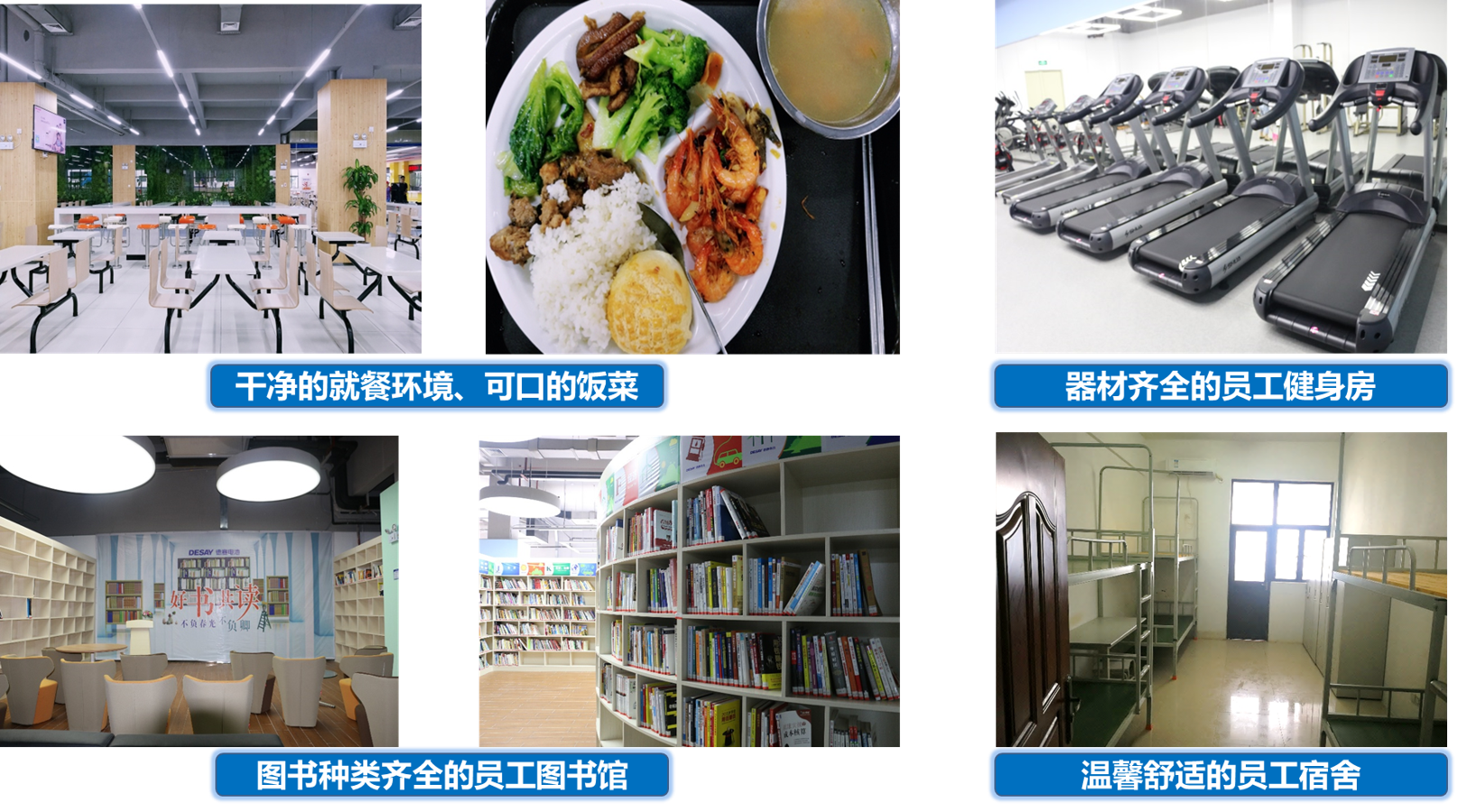 德賽電池02.png